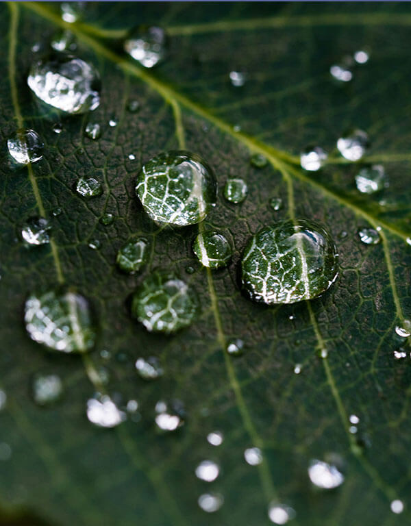 Wastewater Treatment