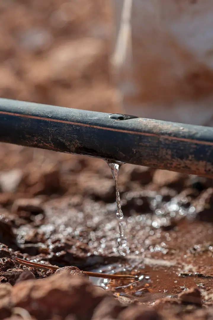 Agua de riego Tratamiento de aguas residuales